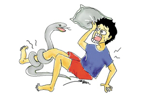 市中医院收治今年第一例蛇伤病人