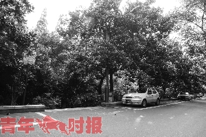 停车费补缴机制效果凸显 车主逃费少了 停车位