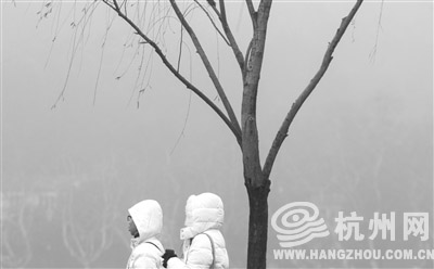 今天立春 未来几天阳光灿烂回归 _ 杭州政协新