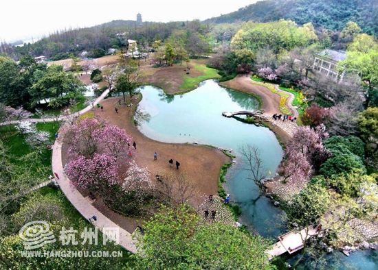 3月24日,太子湾公园进入了一年中最美的季节,在航拍镜头里,太子湾没有