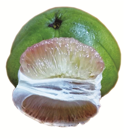 吃什么药不能吃红柚子 14feb5ea147f178ff55c55.jpg