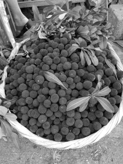 158元\/斤 一口一颗杨梅,吞下去就是近4元 少量