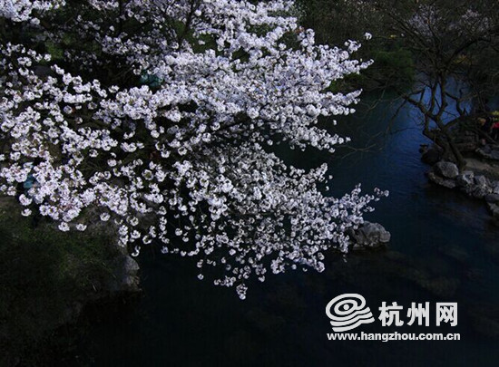 来自人民日报的推荐! 太子湾公园收获十大最美