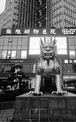 给狗看个病比人花了5万5 宠物医疗费为何比人