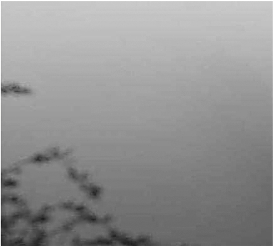 昨天杭州出现今秋以来最严重大雾 重度污染持