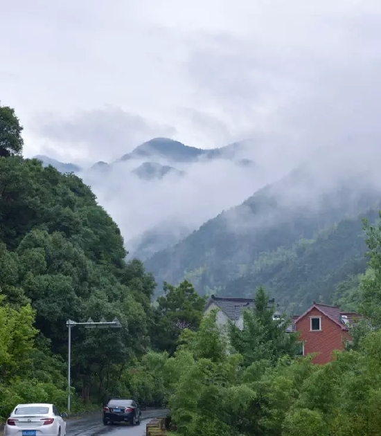 室会员】文化帮扶富阳杨家坞村公益活动纪行 