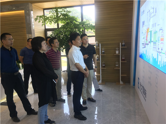 冯仁强副主席带队开展助推生态环境保护与中