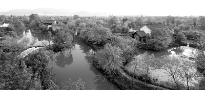 西溪湿地