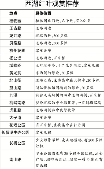 西湖红叶 杭州醉秋 西湖红叶观赏表送你