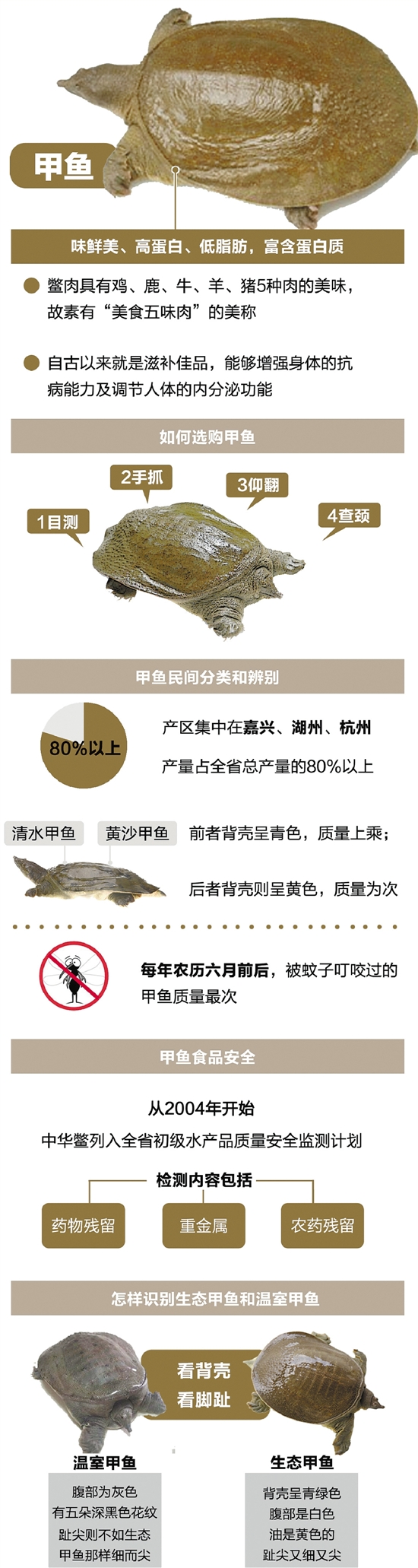 冬吃甲鱼的季节，这道美味吃得有讲究