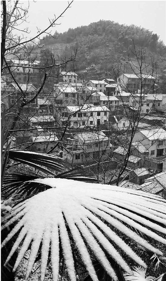 临安的第一片雪，落在了大明山
