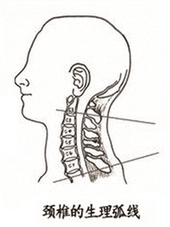 泰勒脖子为什么总是向前倾？保护颈椎注意两点