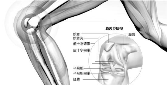 龚子皓/制图