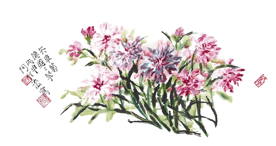 德国国花矢车菊