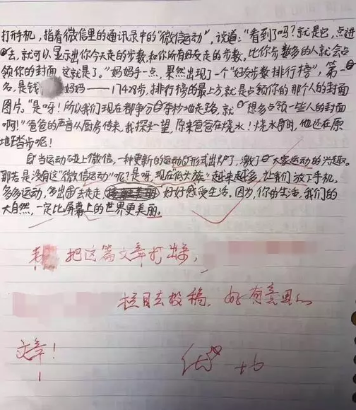 杭州求是小学韦美同学的作文