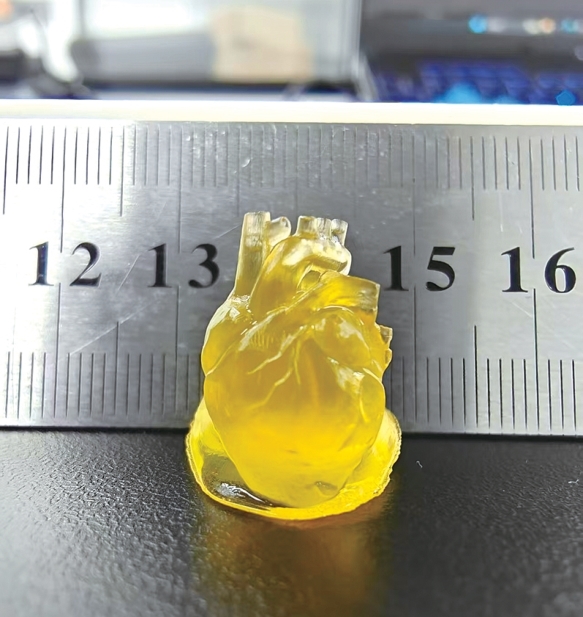 3D打印的心脏