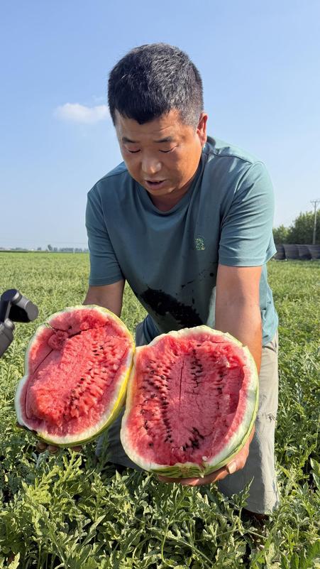瓜农展示自家西瓜。图源:周口日报