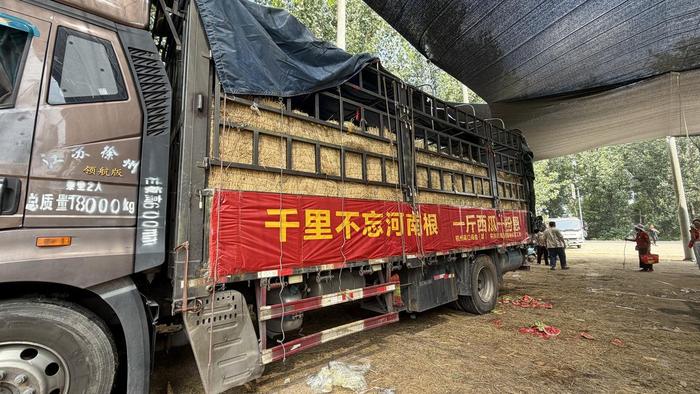 载满西瓜的货车。图源:周口日报