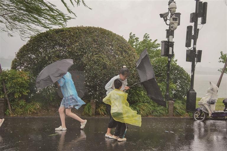 昨天,台风“白海豚”逼近,杭州进入最强风雨时段,游客在西湖边顶着暴雨艰难前进。摄影 商报记者 项凯