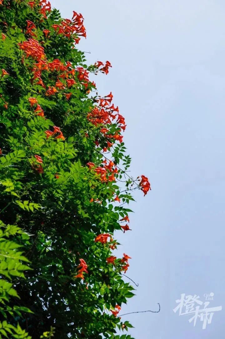 d44ed30f-c9e8-4e00-a47e-4a69f04d448d.jpg