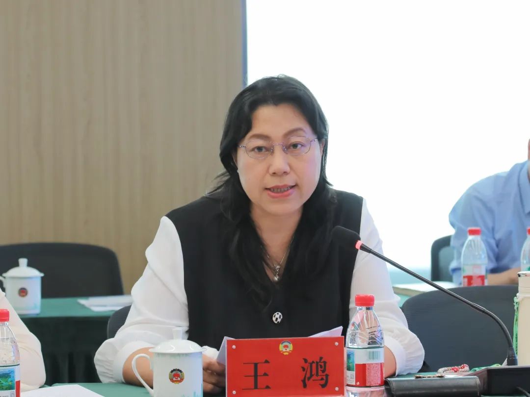省政协委员、浙江工业大学健行学院执行院长王鸿 图片