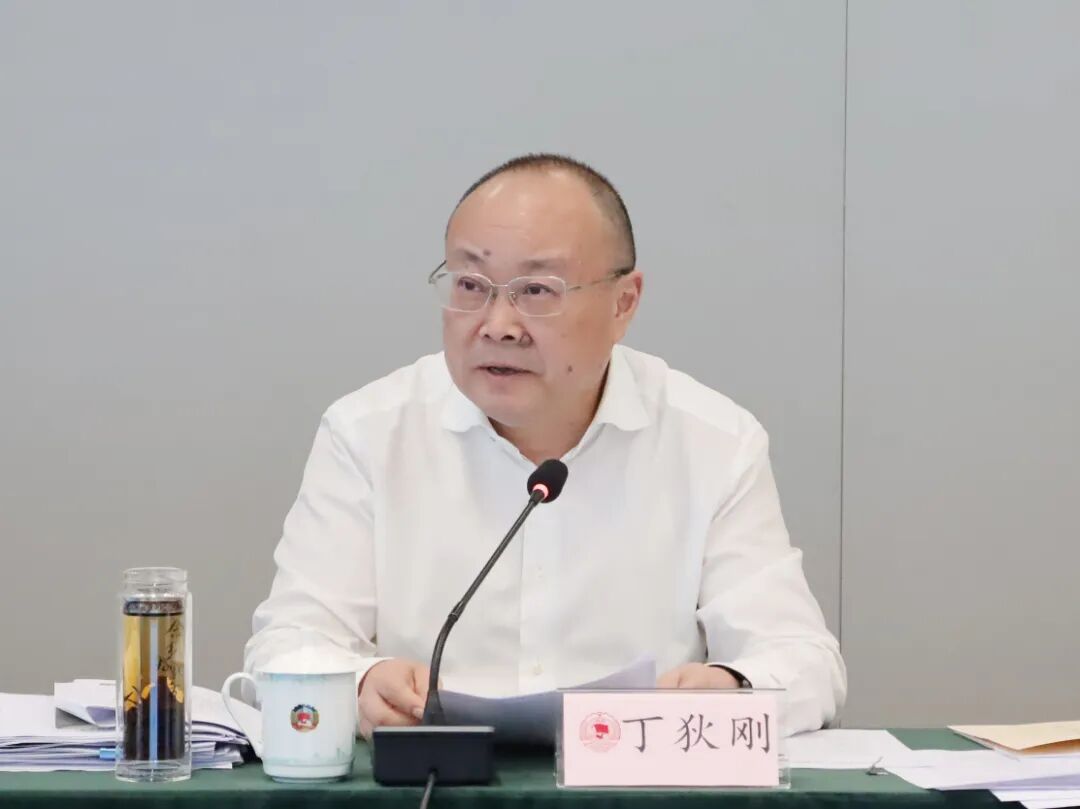 市政协副主席丁狄刚.JPG