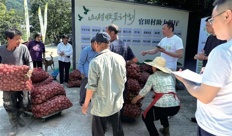 一大早小山村又沸腾了 记者 陈林森 摄